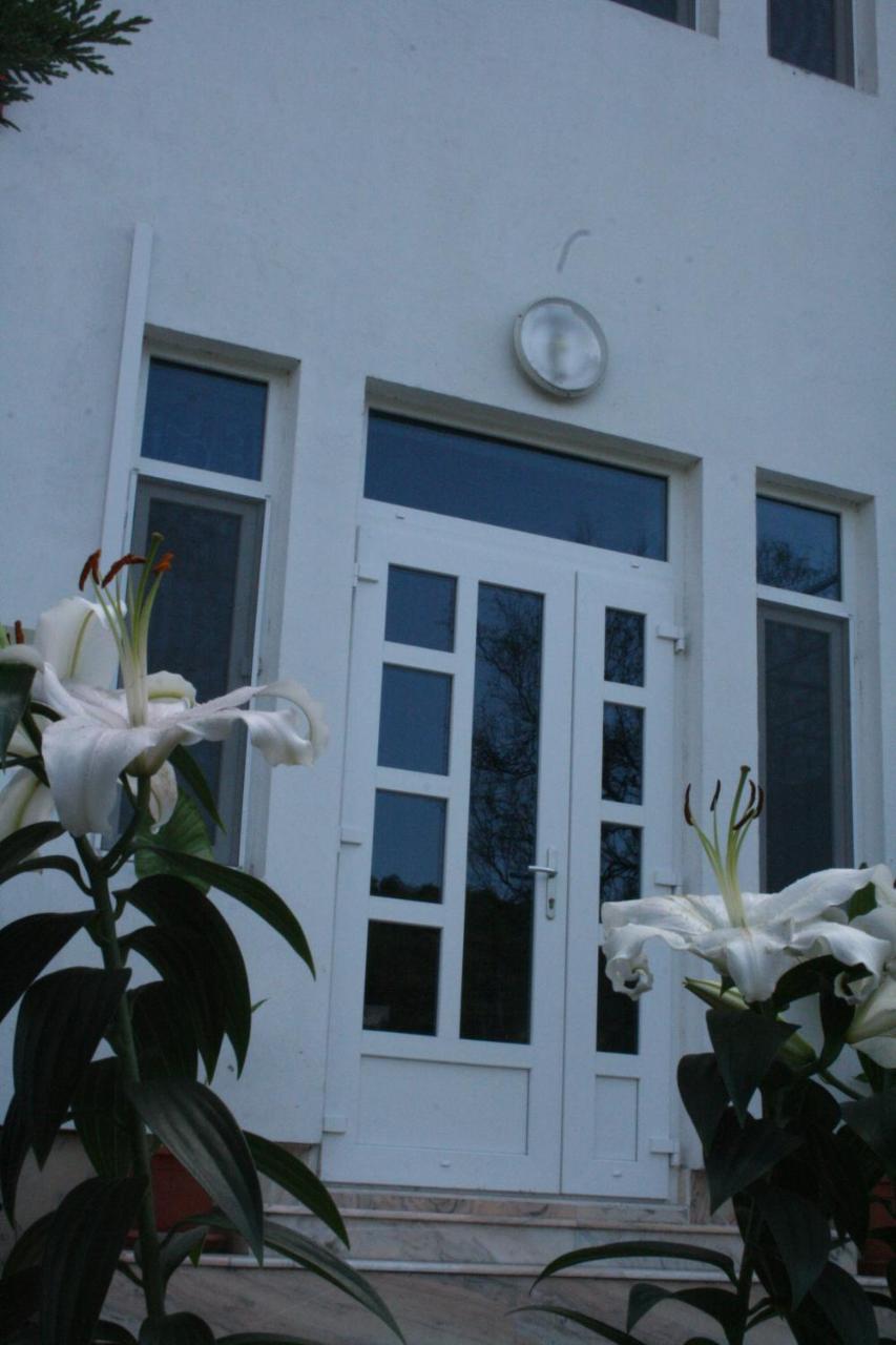 Manea Orsova Hotel Ngoại thất bức ảnh